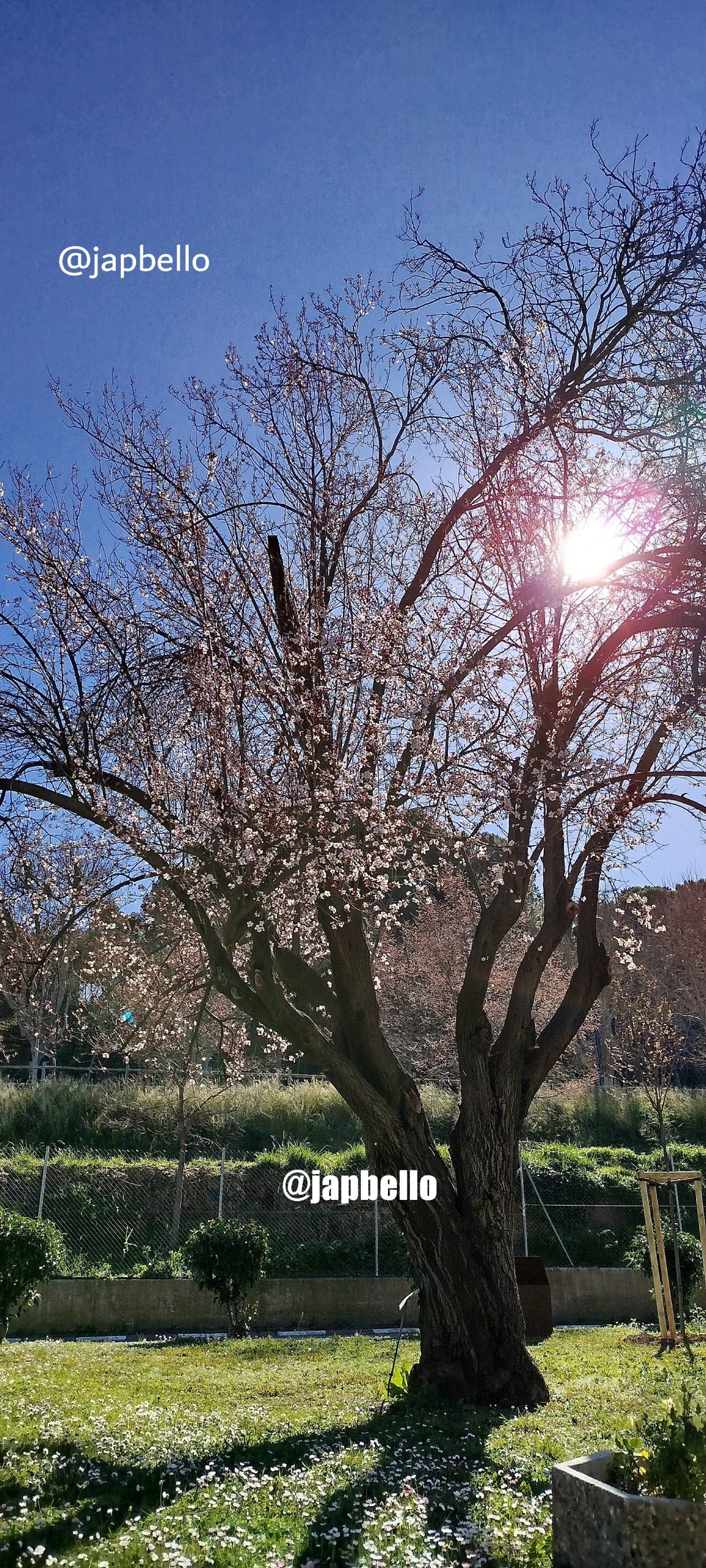 IMG_20260221_120509_b